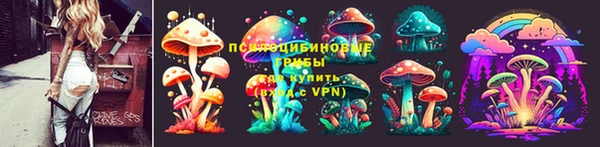 а пвп мука Бородино