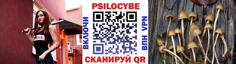 mega вход  как найти наркотики  Тотьма  Псилоцибиновые грибы MAGIC MUSHROOMS 