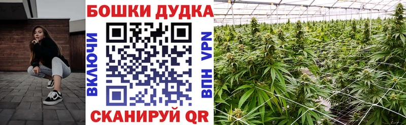 как найти   Тотьма  Каннабис LSD WEED 